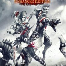 Divinity: Original Sin Enhanced Edition