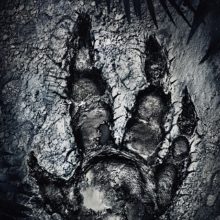 Evolve