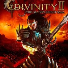 Divinity 2: The Dragon Knight Saga
