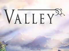 Valley
