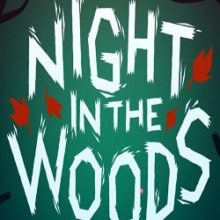Night in the Woods