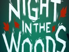 Night in the Woods