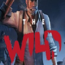 The Wild Eight