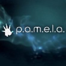 P.A.M.E.L.A.