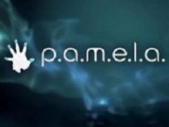 P.A.M.E.L.A.