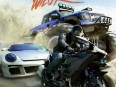 The Crew: Wild Run