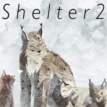 Shelter 2