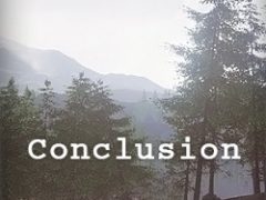 Conclusion