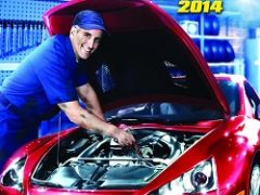 Car Mechanic Simulator 2014