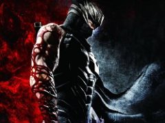 Ninja Gaiden 3