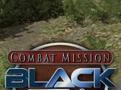 Combat Mission: Black Sea