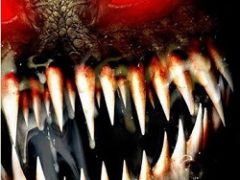 Alien Shooter 2