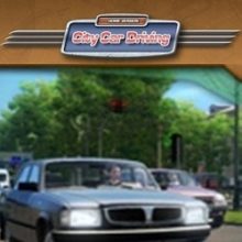 City Car Driving