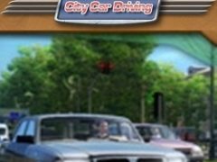 City Car Driving