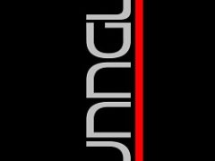 Tunngle