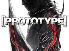 Прототип 1
