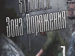 Сталкер Зона поражения 1