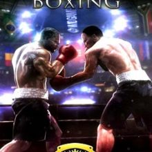 Real Boxing
