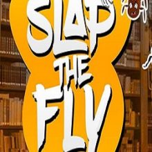 Slap The Fly