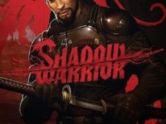Shadow Warrior Механики