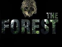 The Forest Механики