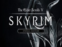 Skyrim Механики