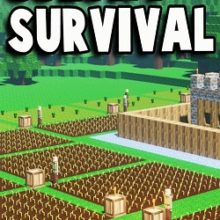Colony Survival