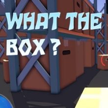 What the box?