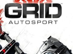 GRID Autosport Механики