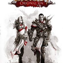 Divinity Original Sin