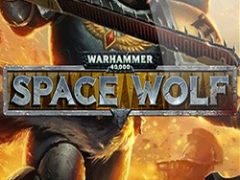 Warhammer 40000 Space Wolf