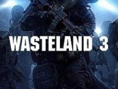 Wasteland 3