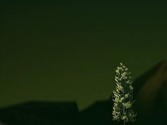 Getting Over It with Bennett Foddy
