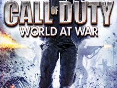 CoD World at War