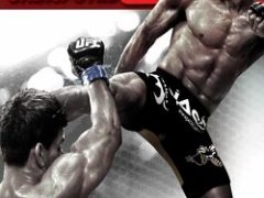 UFC Undisputed 3 Механики
