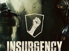 Insurgency