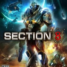 Section 8