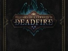 Pillars of Eternity 2 Deadfire Механики