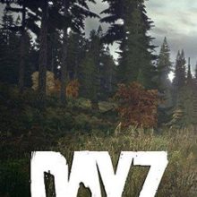 DayZ Standalone Пиратка и Сервера 2023