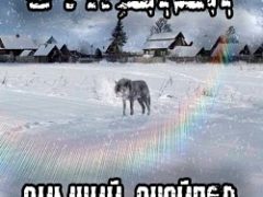 Сталкер Зимний Снайпер