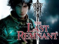 The Last Remnant