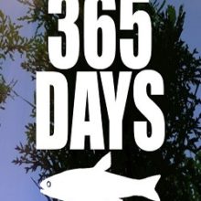 365 Days