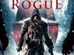 Assassins Creed Rogue Механики