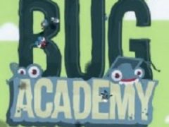 Bug Academy