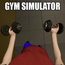 Gym simulator