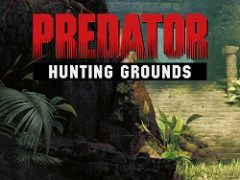 Predator Hunting Grounds