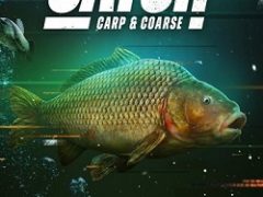 The Catch Carp & Coarse