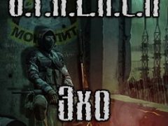 Сталкер Эхо Монолита