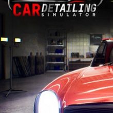 Car Detailing Simulator