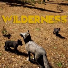 Wilderness